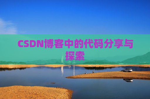 CSDN博客中的代码分享与探索